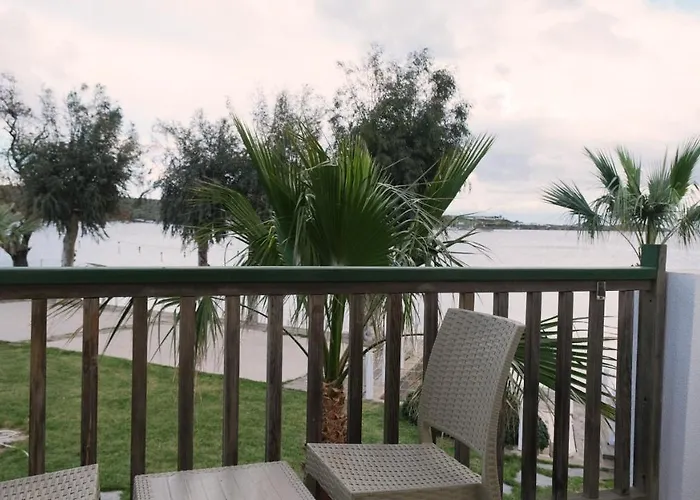 جومبيت كوف غومْبيت