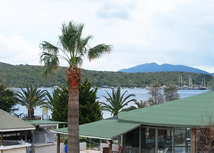 جومبيت كوف فندق