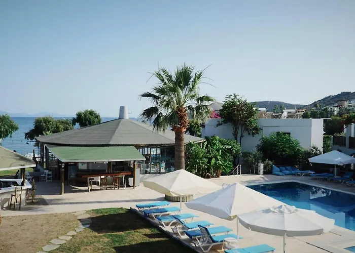 جومبيت كوف فندق