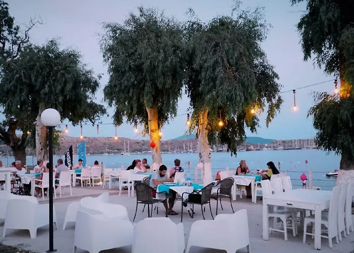 فندق جومبيت كوف 2*