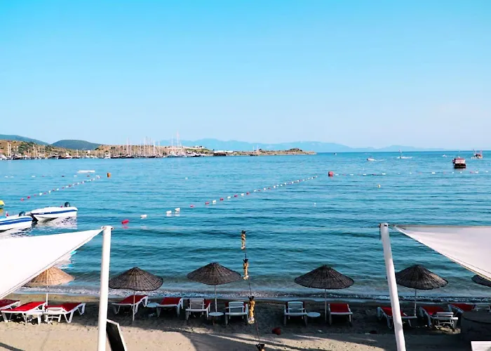 جومبيت كوف 2*