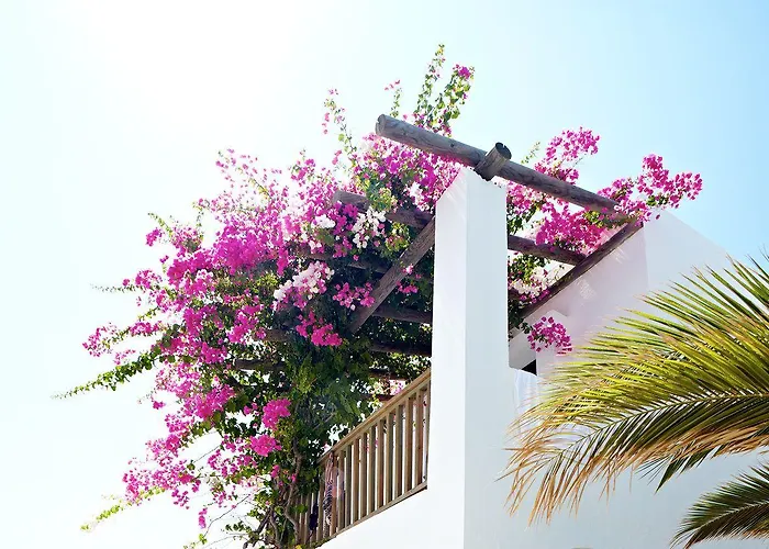 جومبيت كوف فندق 2*