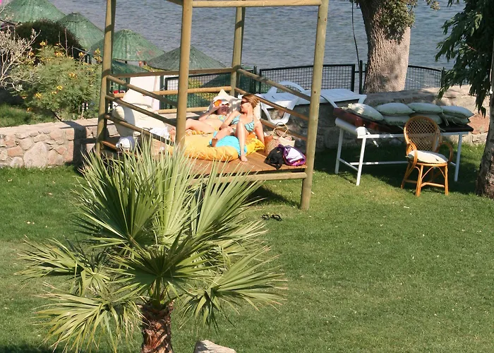 جومبيت كوف فندق