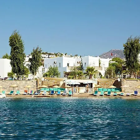 Cove 2*