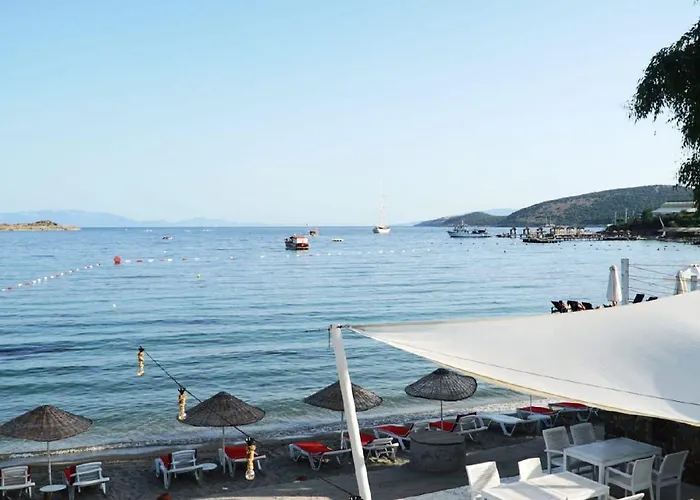 מלון Cove גומבט